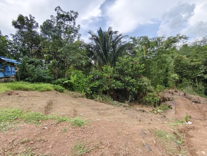 557595558_2214454125685373_583169073960400257_n